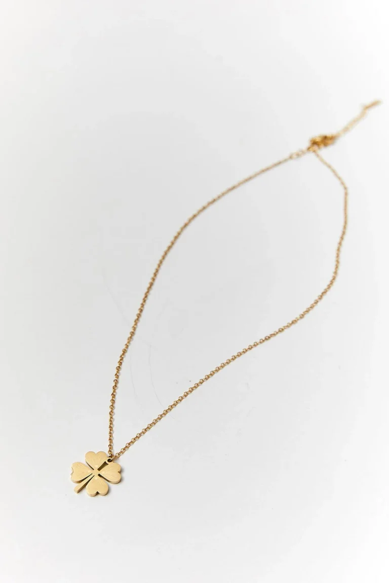 Stalen Ketting met Klavertjevier Hanger van 60 Pines